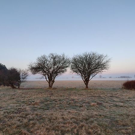 Gimleretreat Daire Bøtø By Dış mekan fotoğraf